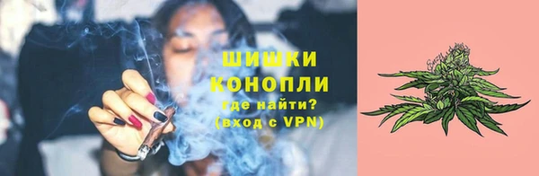 бошки Арсеньев