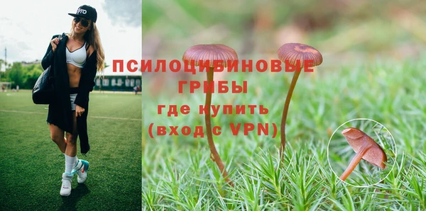 Альфа ПВП Армянск