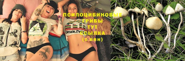 бошки Арсеньев